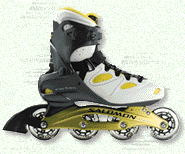 TR Custom Fit Skate