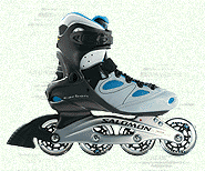 TR Custom Fit Skate